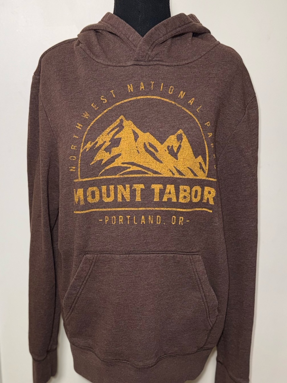 Aeropostale Mount Tabor Portland OR Graphic Pullover Hoodie L